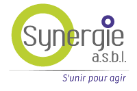 Logo du business club Synergie